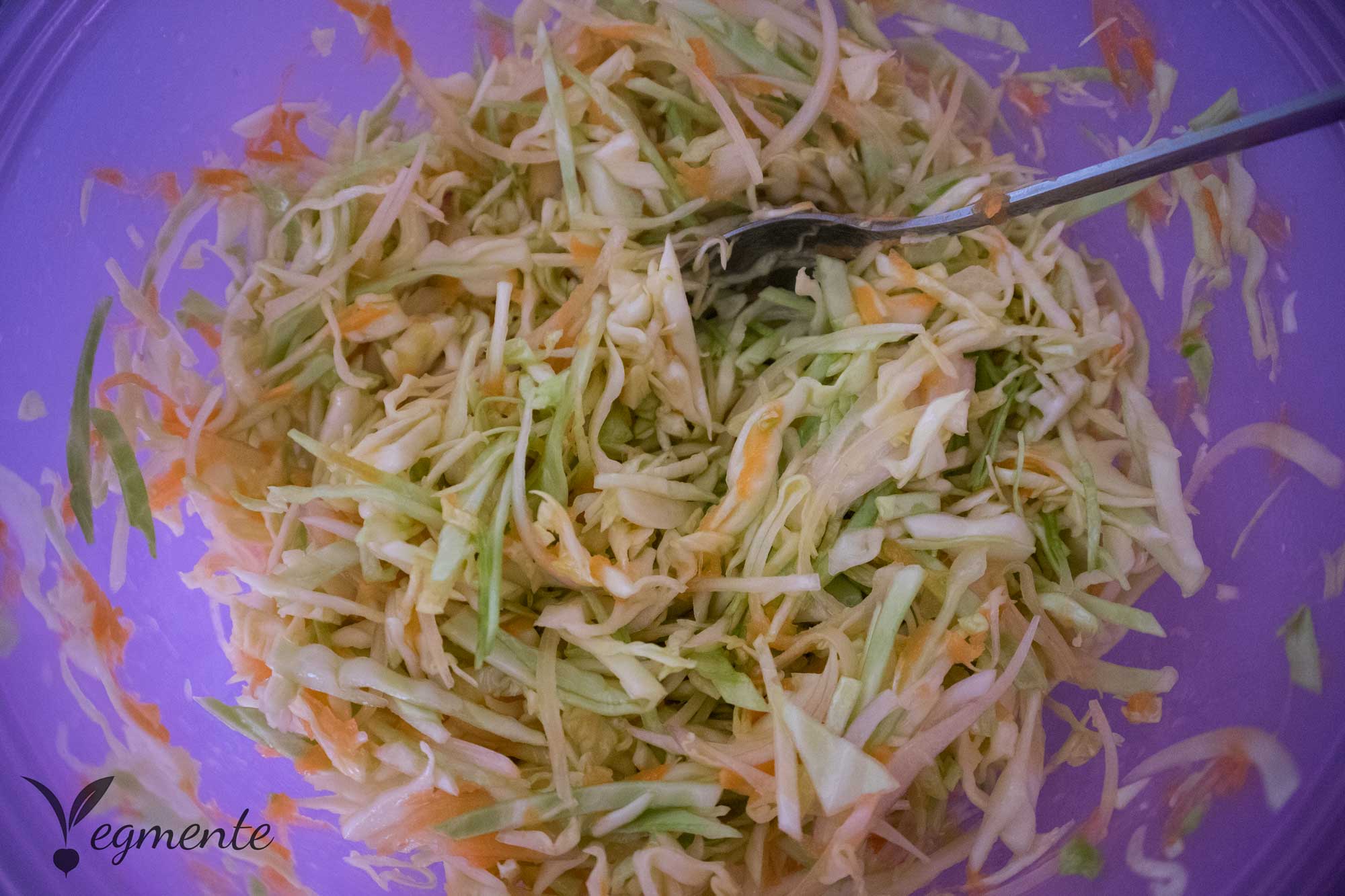 Ingredientes da salada vegmente