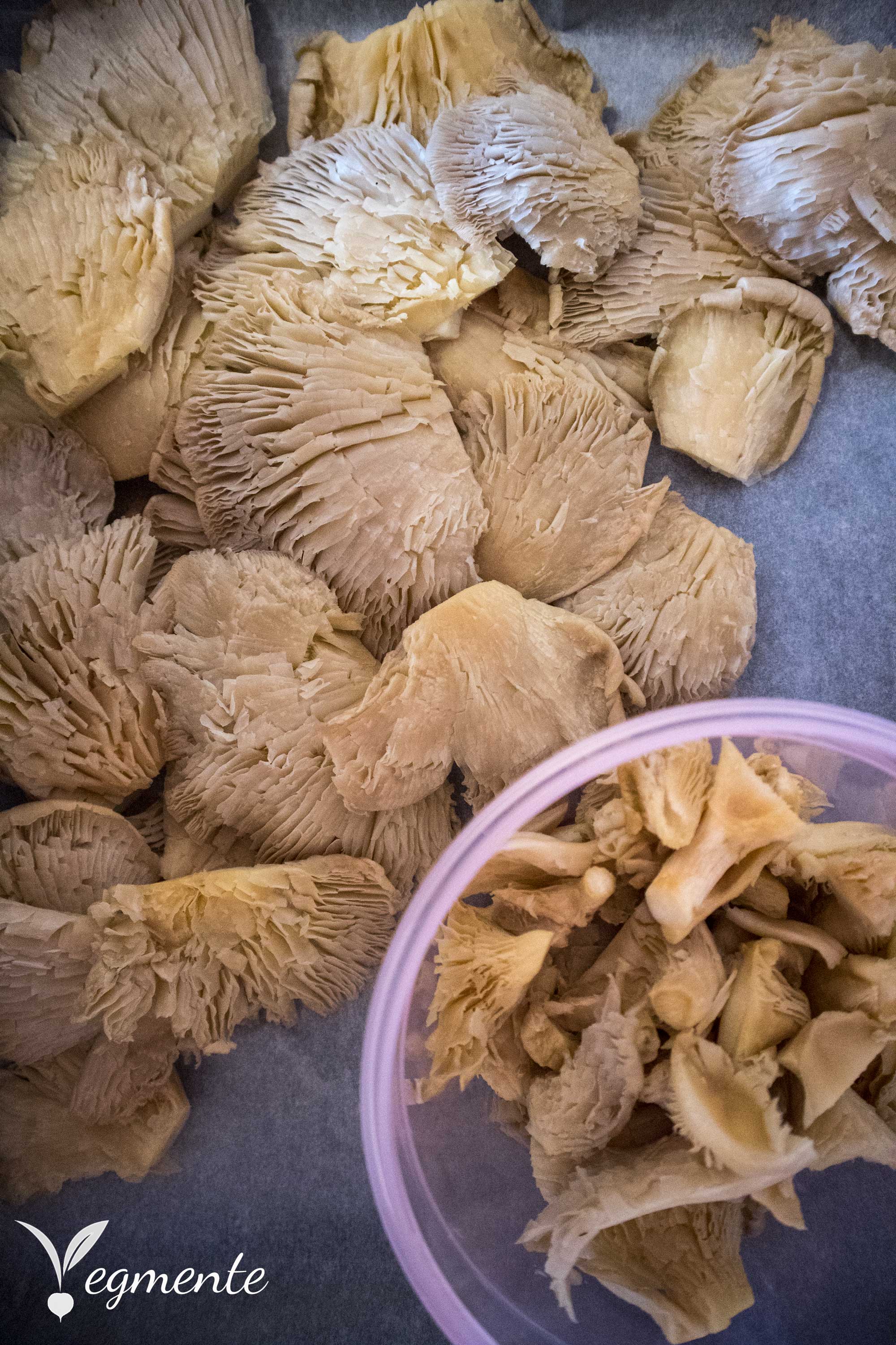 preparar cogumelos para panados